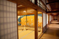 Japon, architecture sacrée - 147