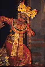 Danses Bali - 4