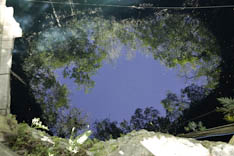 Mexique - Cenote - 21