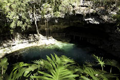 Mexique - Cenote - 24