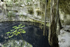 Mexique - Cenote - 26