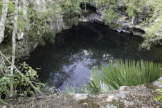 Mexique - Cenote - 46