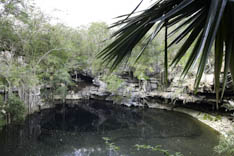 Mexique - Cenote - 47