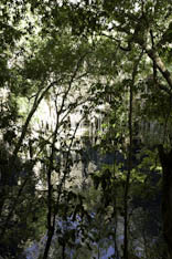 Mexique - Cenote - 54