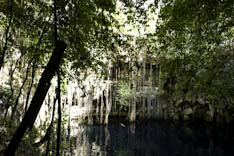 Mexique - Cenote - 55