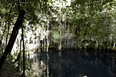 Mexique - Cenote - 56