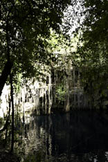 Mexique - Cenote - 57