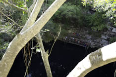 Mexique - Cenote - 71