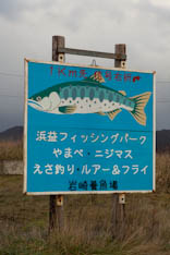 Hokkaido - saumon - 14