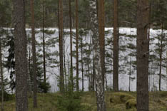 Finlande - Verriers - 116