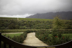 Afrique du Sud, route des vins - 29