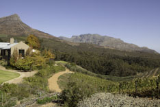 Afrique du Sud, route des vins - 35