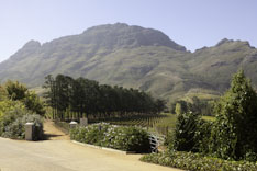 Afrique du Sud, route des vins - 36