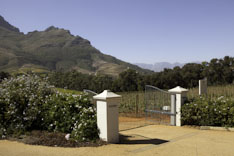 Afrique du Sud, route des vins - 37