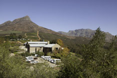 Afrique du Sud, route des vins - 39